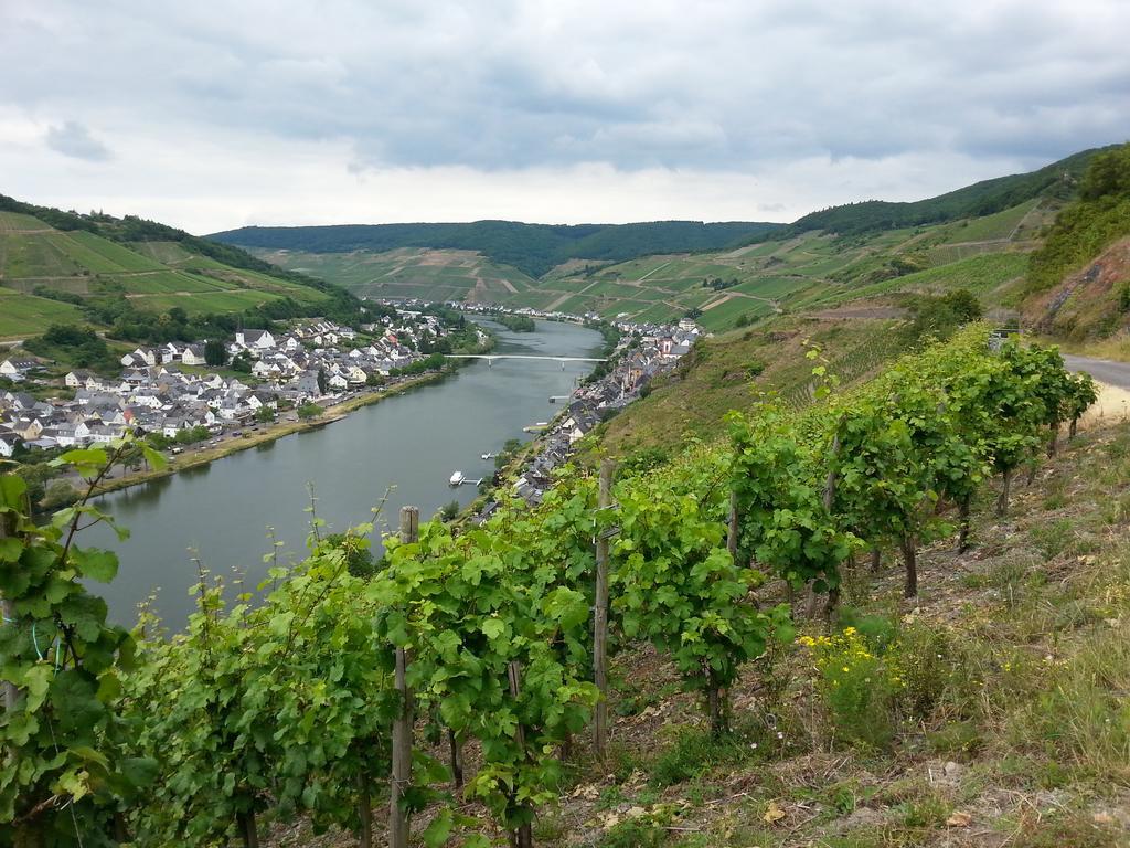 "Ferienhaus An Der Mosel" Цел ан дер Мозел Екстериор снимка