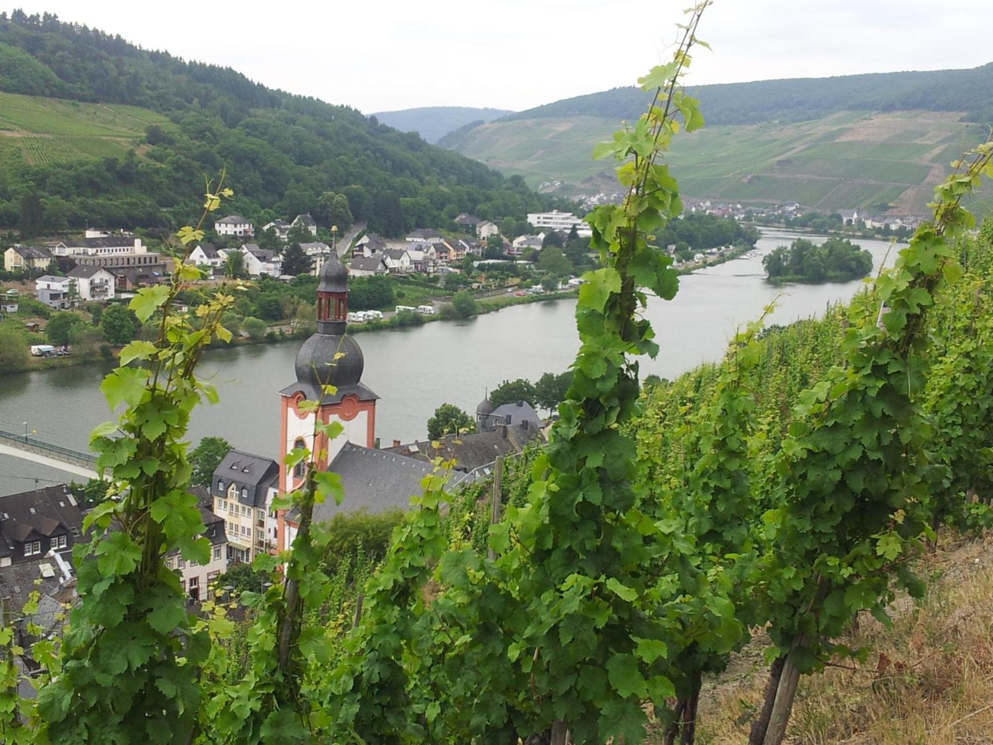 "Ferienhaus An Der Mosel" Цел ан дер Мозел Екстериор снимка