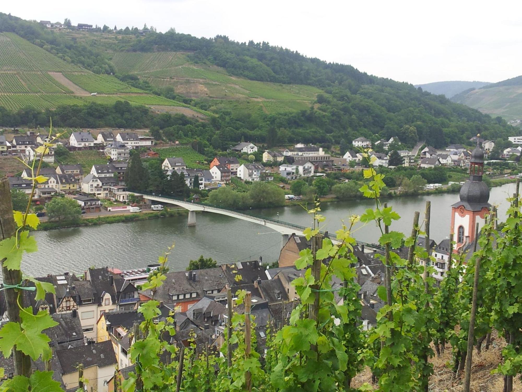 "Ferienhaus An Der Mosel" Цел ан дер Мозел Екстериор снимка