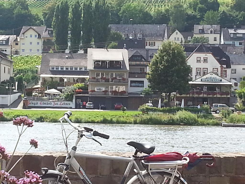 "Ferienhaus An Der Mosel" Цел ан дер Мозел Екстериор снимка
