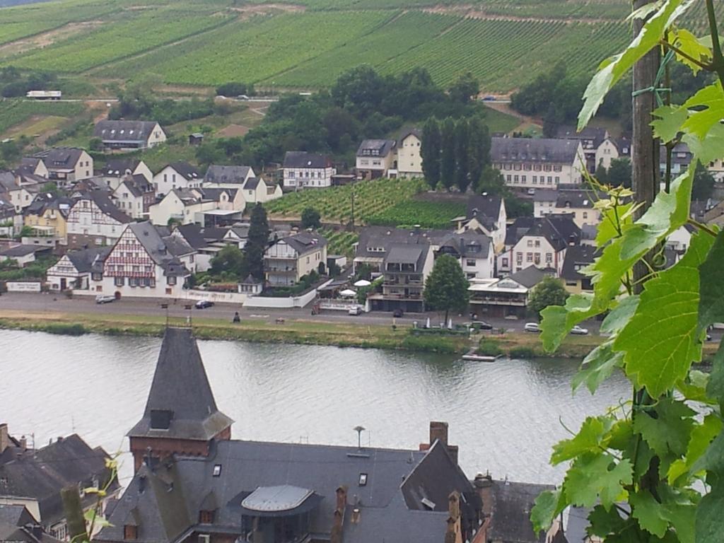 "Ferienhaus An Der Mosel" Цел ан дер Мозел Екстериор снимка